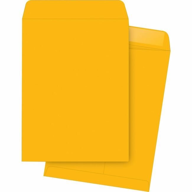 Business Source Envelope Catalog 9.5X12.5 BSN42114