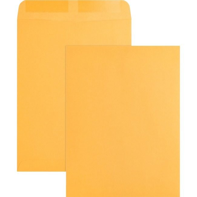 Business Source Envelope Catalog 9X12 Kft BSN42100