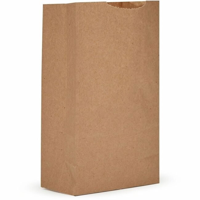 AJM Packaging Corporation Bag Paper 2# EXTRA HVY DTY AJMGBN102G5CEHE