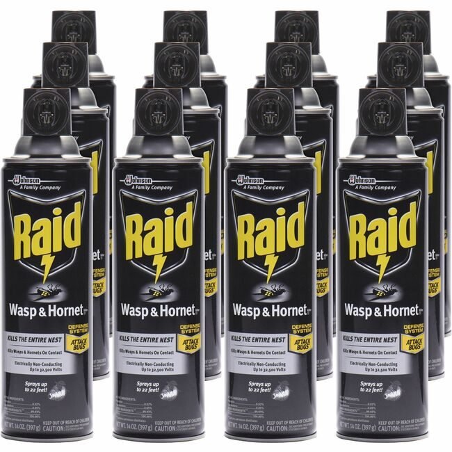 SC Johnson Professional Insecticide Wasp&Hornt Raid SJN377651CT