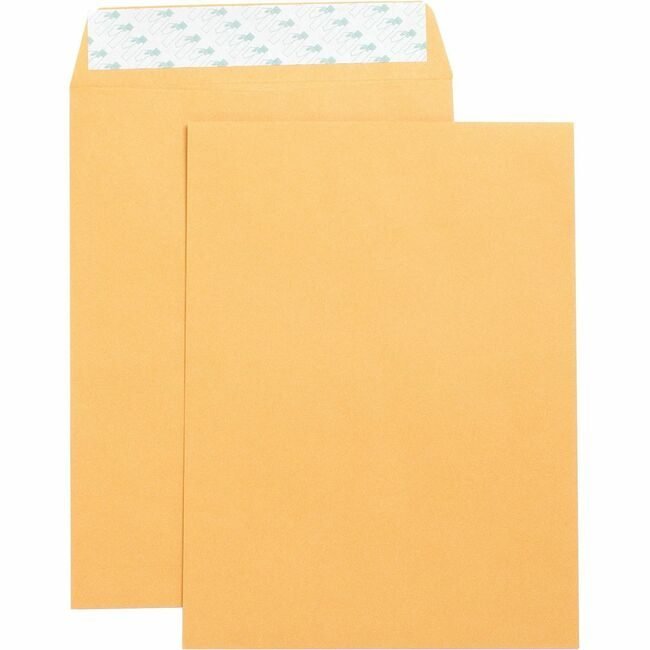 Business Source Envelope Catlg Selfsl 9X12 BSN42120