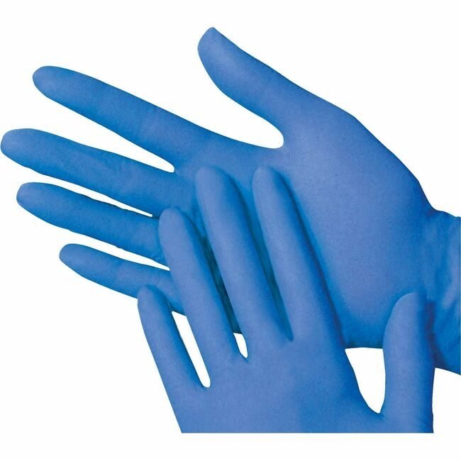 Gloves Nitrile Exam Txt Pf L NSNNIB0313